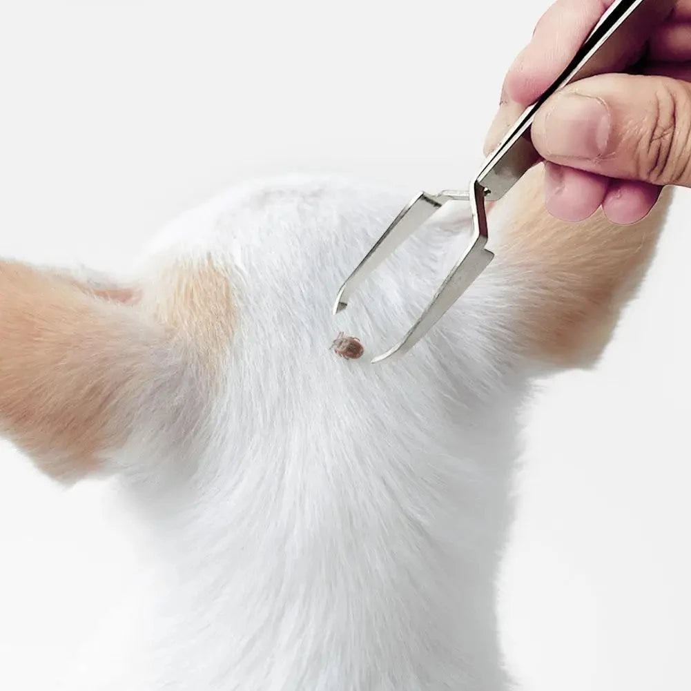 Pet Flea Remover Stainless Steel Tick Removal Tool Flea Treatment Tweezers Hook Professional Tool for Cat Dog Grooming Supplies