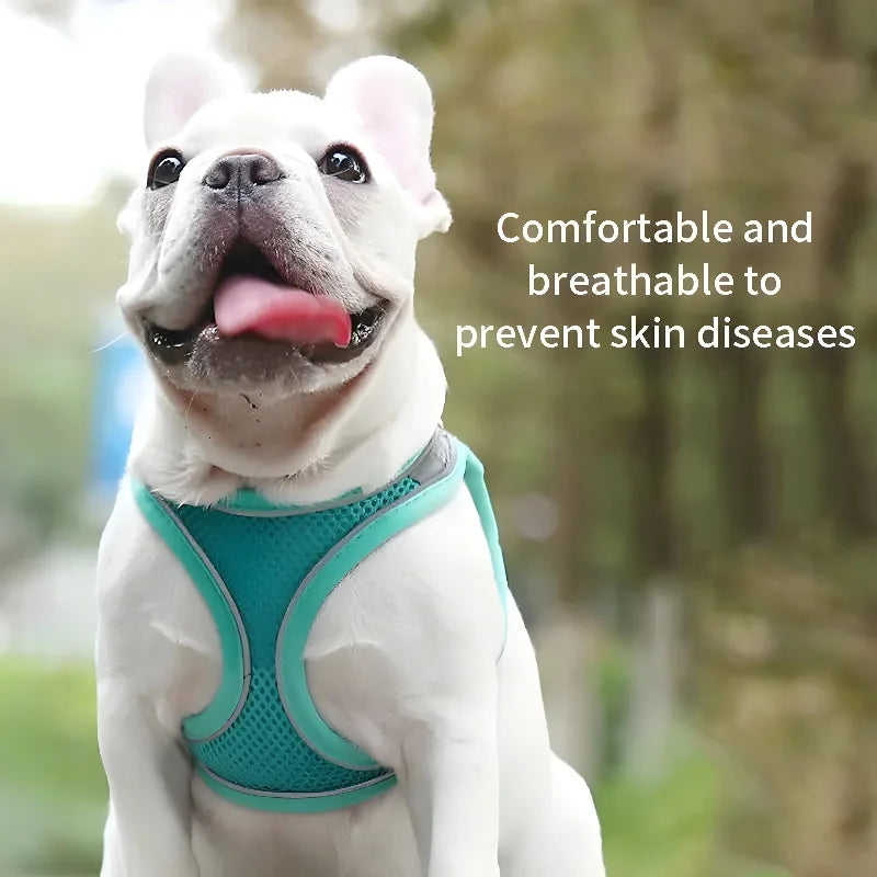Pet dog Harness Leash Set for Small Dogs Adjustable Puppy Harness Vest French Bulldog Chihuahua dog harness and leash set puppy