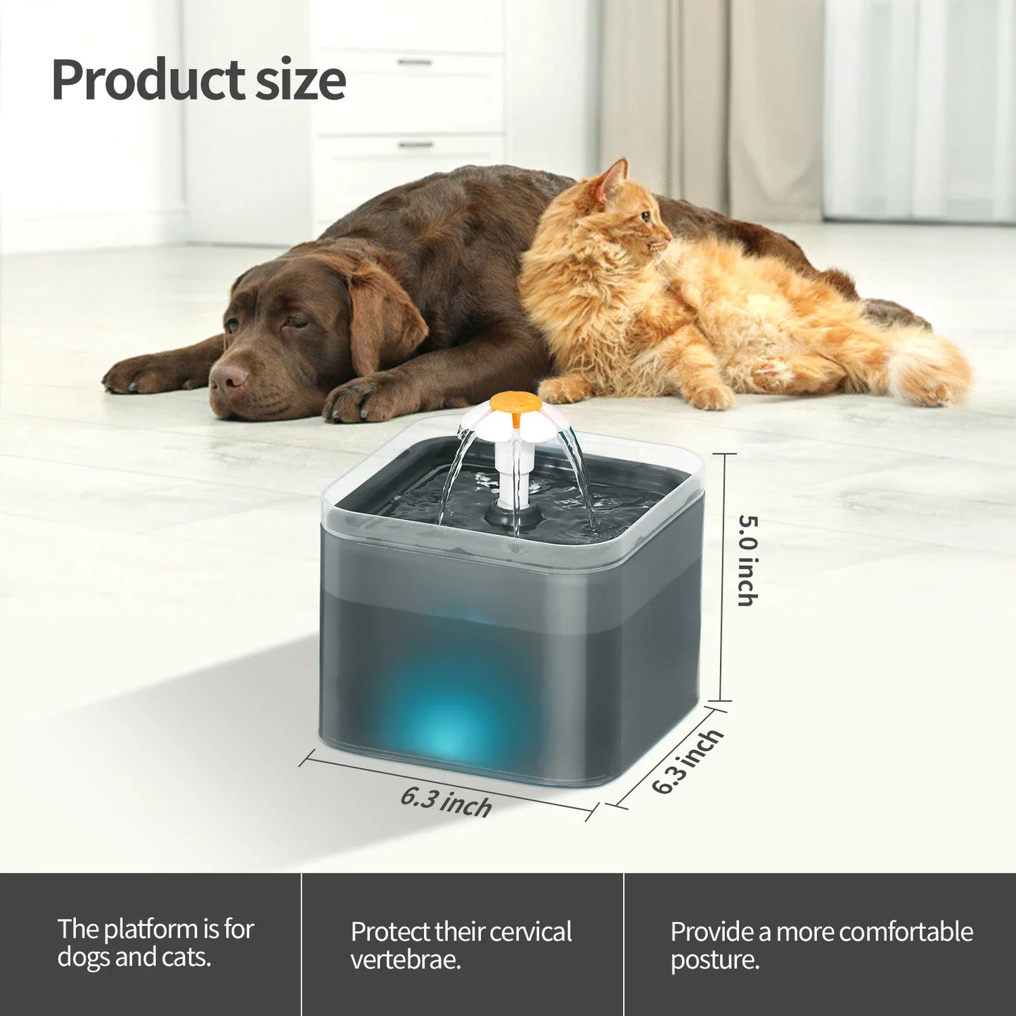 Cat Water Fountain 67oz/2L for Pet Small Dogs Drinking Ultra Silent with LED Lighting Water Dispenser Automatic Drinking