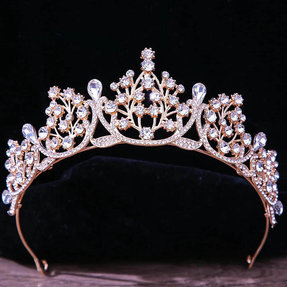 DIEZI Baroque Princess Queen Bridal Crown Purple Crystal Tiara For Women Wedding Vintage Crown Hair Dress Accessories Jewelry