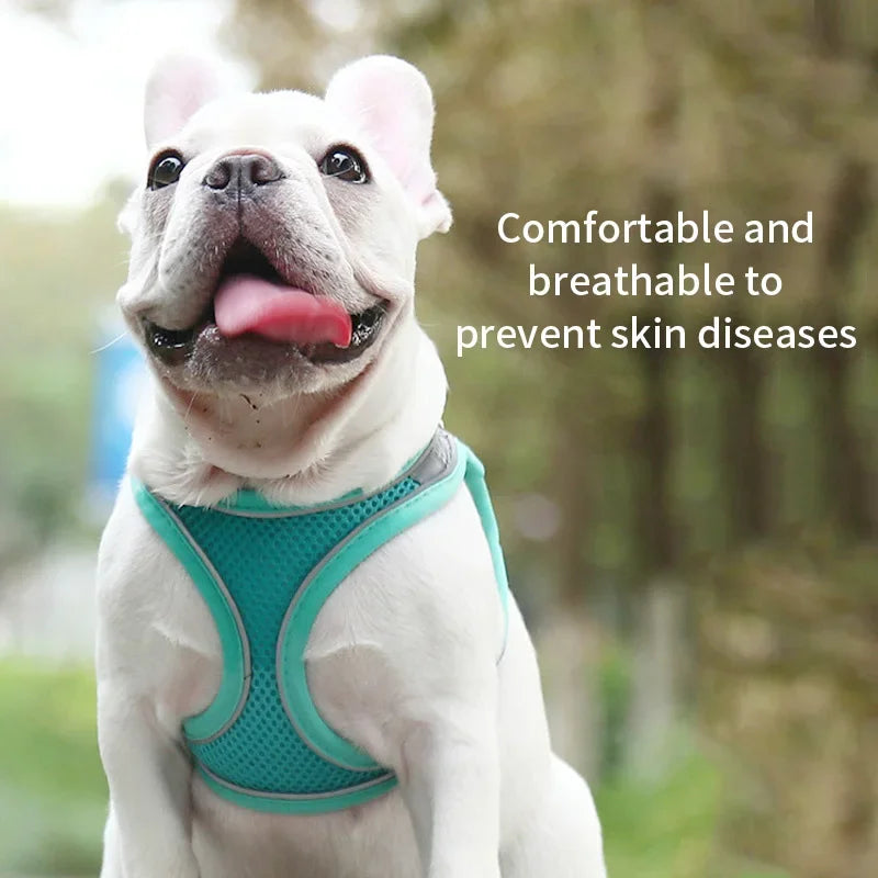 Pet dog Harness Leash Set for Small Dogs Adjustable Puppy Harness Vest French Bulldog Chihuahua dog harness and leash set puppy