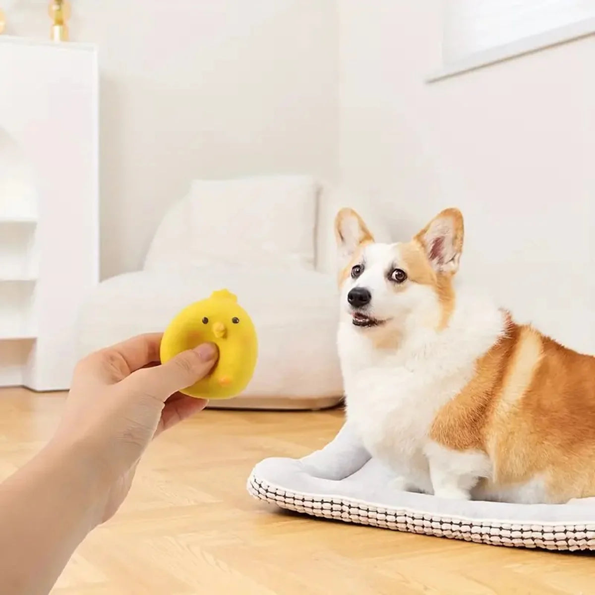 1pc Dog Sounding Toy with Cartoon Little Yellow Chicken Design, Pet Durable Latex Chew Teeth Grinding with Squeaky Dog Toy Ball