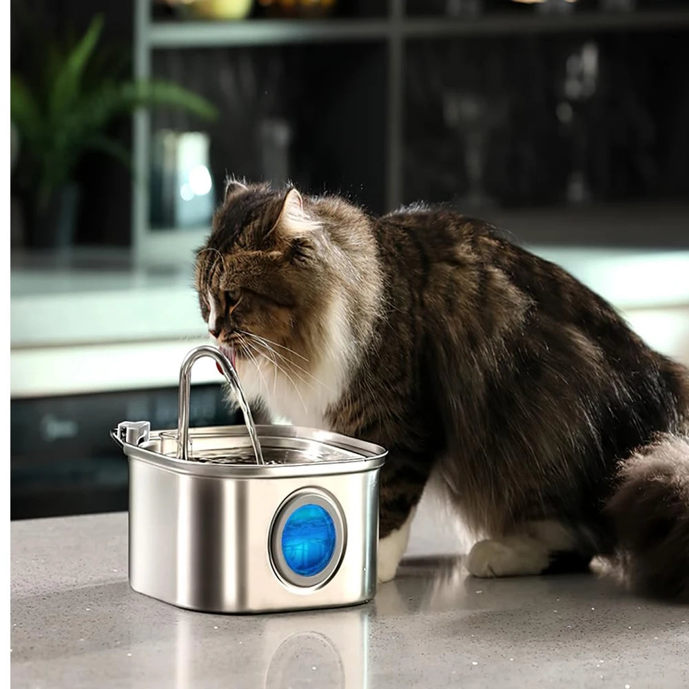 ZYFeeder 2.2L Automatic Cat Water Fountain Square Stainless Steel Pet Water Feeder Dog Water Fountain with window(No 5V 1A Plug)