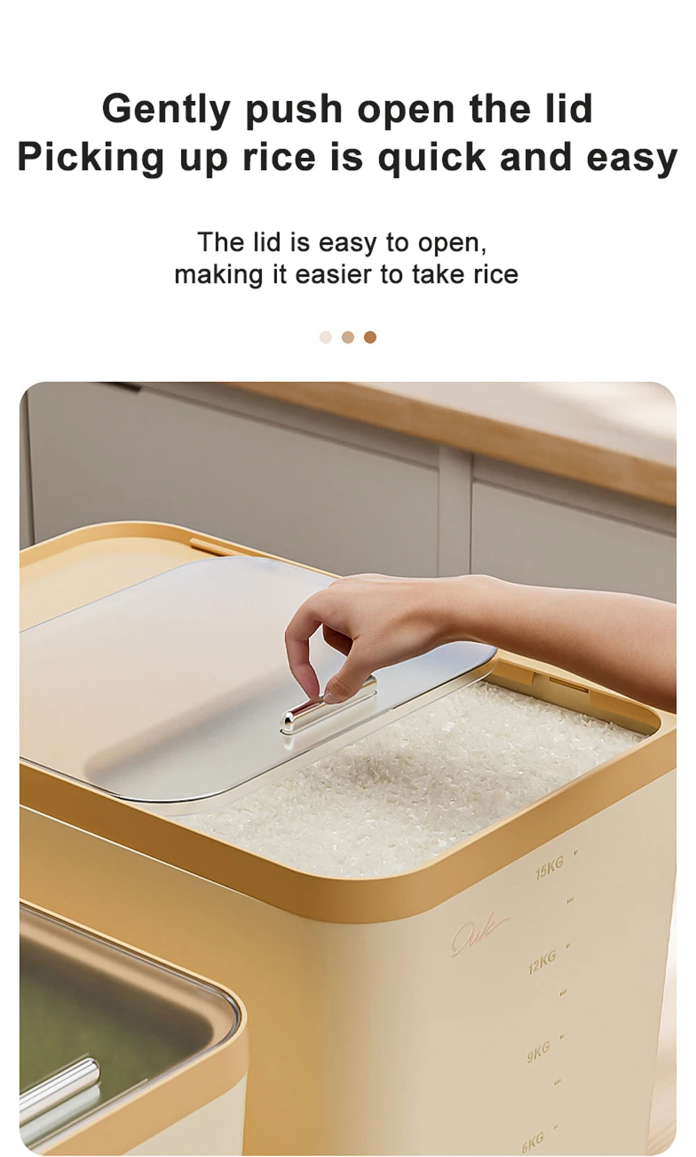 10KG Rice Container Rice Storage Box Pet Food Container Sealed Cereal Dispenser with Buckle Insect Proof Grain Kitchen Organizer