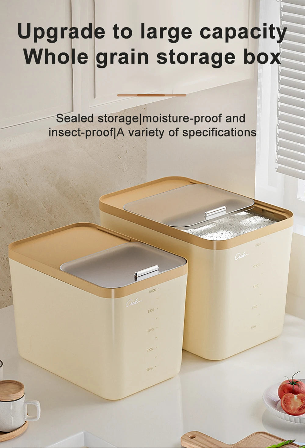 10KG Rice Container Rice Storage Box Pet Food Container Sealed Cereal Dispenser with Buckle Insect Proof Grain Kitchen Organizer