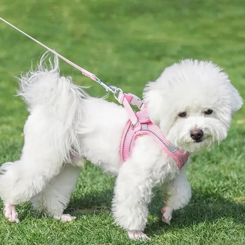Pet dog Harness Leash Set for Small Dogs Adjustable Puppy Harness Vest French Bulldog Chihuahua dog harness and leash set puppy