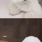 Dog Comb Pet Hair Remover Dog Brush Dense Combs for Dogs Hair Knot Cleaning Massage Cat Brush Dogs Grooming Pets Accessories