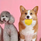 1pc Dog Sounding Toy with Cartoon Little Yellow Chicken Design, Pet Durable Latex Chew Teeth Grinding with Squeaky Dog Toy Ball