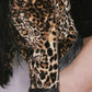 Cutenew Feather Patchwork Printed Women Coats Fashion Sexy Buckle Warmth Crop Jackets Female Fashion Winter Attractive Outerwear
