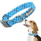 Leashes And Collar Set For Small Medium Large Dogs Pet French Bulldog Chihuahua Pug Outdoor Walking Lead Collar Leash Supplies