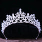 DIEZI Baroque Princess Queen Bridal Crown Purple Crystal Tiara For Women Wedding Vintage Crown Hair Dress Accessories Jewelry