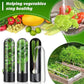 1PC Pink Fresh Herb Keeper Vanilla Vegetables Fresh Preservation Bottle Herb Saver Storage Container Storage Box﻿ Kitchen Tool