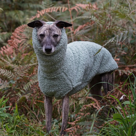 Winter Fleece Sweater for Little Greyhound High-Neck Short Warm Sleeves Sweatshirt For Whipbit Dogs Poodle Yorkshire Clothes