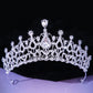 DIEZI Baroque Princess Queen Bridal Crown Purple Crystal Tiara For Women Wedding Vintage Crown Hair Dress Accessories Jewelry