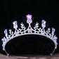 DIEZI Baroque Princess Queen Bridal Crown Purple Crystal Tiara For Women Wedding Vintage Crown Hair Dress Accessories Jewelry