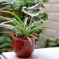 Plant Waterer Self Watering Globes, Bird Shape Hand Blown Clear Aqua Bulbs