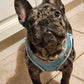Pet dog Harness Leash Set for Small Dogs Adjustable Puppy Harness Vest French Bulldog Chihuahua dog harness and leash set  puppy