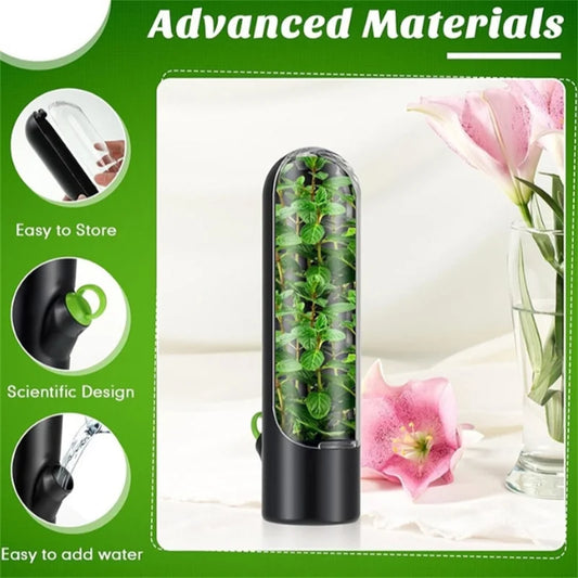 1PC Pink Fresh Herb Keeper Vanilla Vegetables Fresh Preservation Bottle Herb Saver Storage Container Storage Box﻿ Kitchen Tool