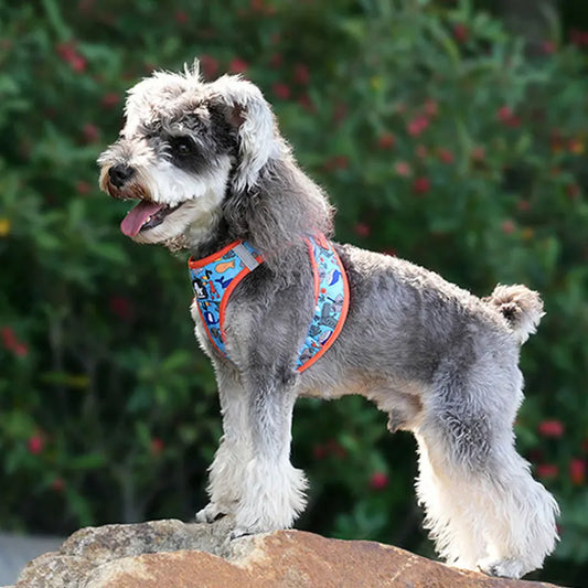 Truelove Step In Pet Harness Lightweight Adjustable Dog Chest Vest Reflective Quick Release For Dogs Walking Outdoor Accessories
