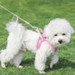 Pet dog Harness Leash Set for Small Dogs Adjustable Puppy Harness Vest French Bulldog Chihuahua dog harness and leash set  puppy