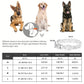 Leashes And Collar Set For Small Medium Large Dogs Pet French Bulldog Chihuahua Pug Outdoor Walking Lead Collar Leash Supplies